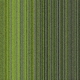 CS-283 C
